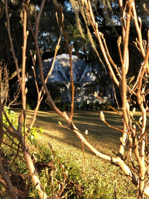 St. Francisville Inn image 34